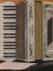 The old accordion by Sergio Di Giovanni
