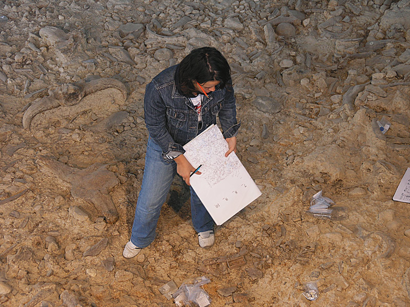 Paleolitic site (700.000 years ago)Isernia(Molise) (2)