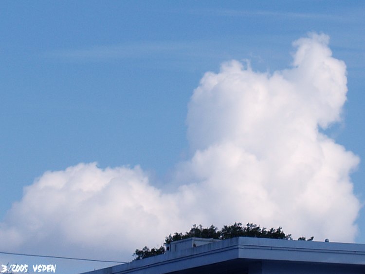 Puppy Cloud