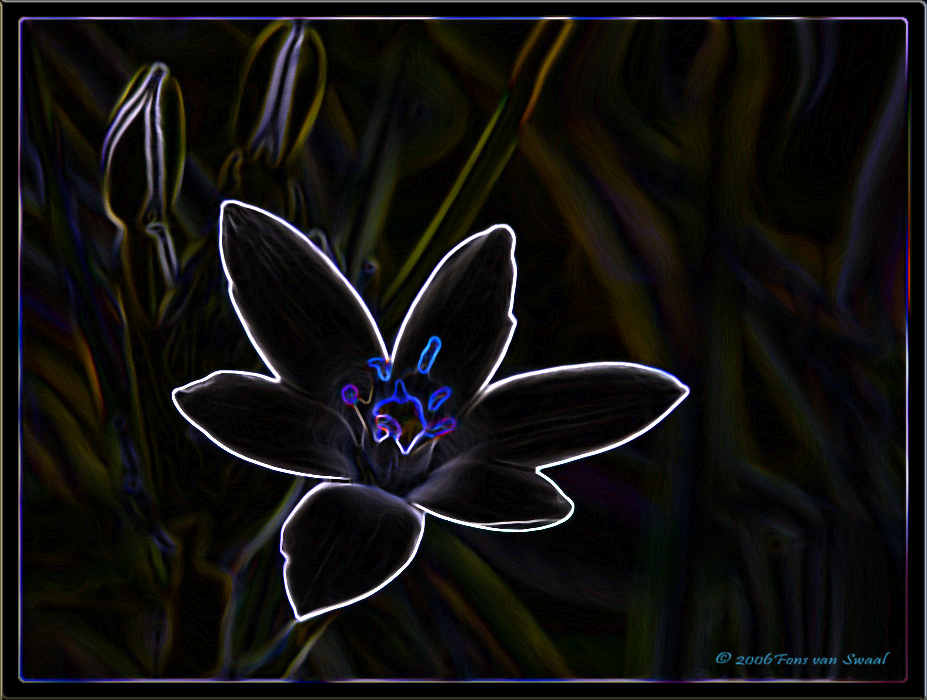 Just a flower Manipulated