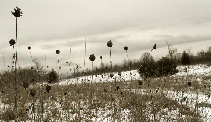 another winter day