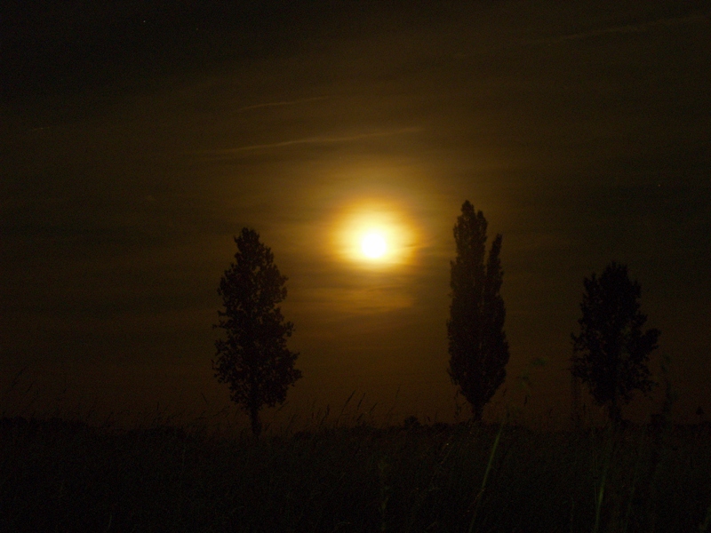 Midsummer Night Moon