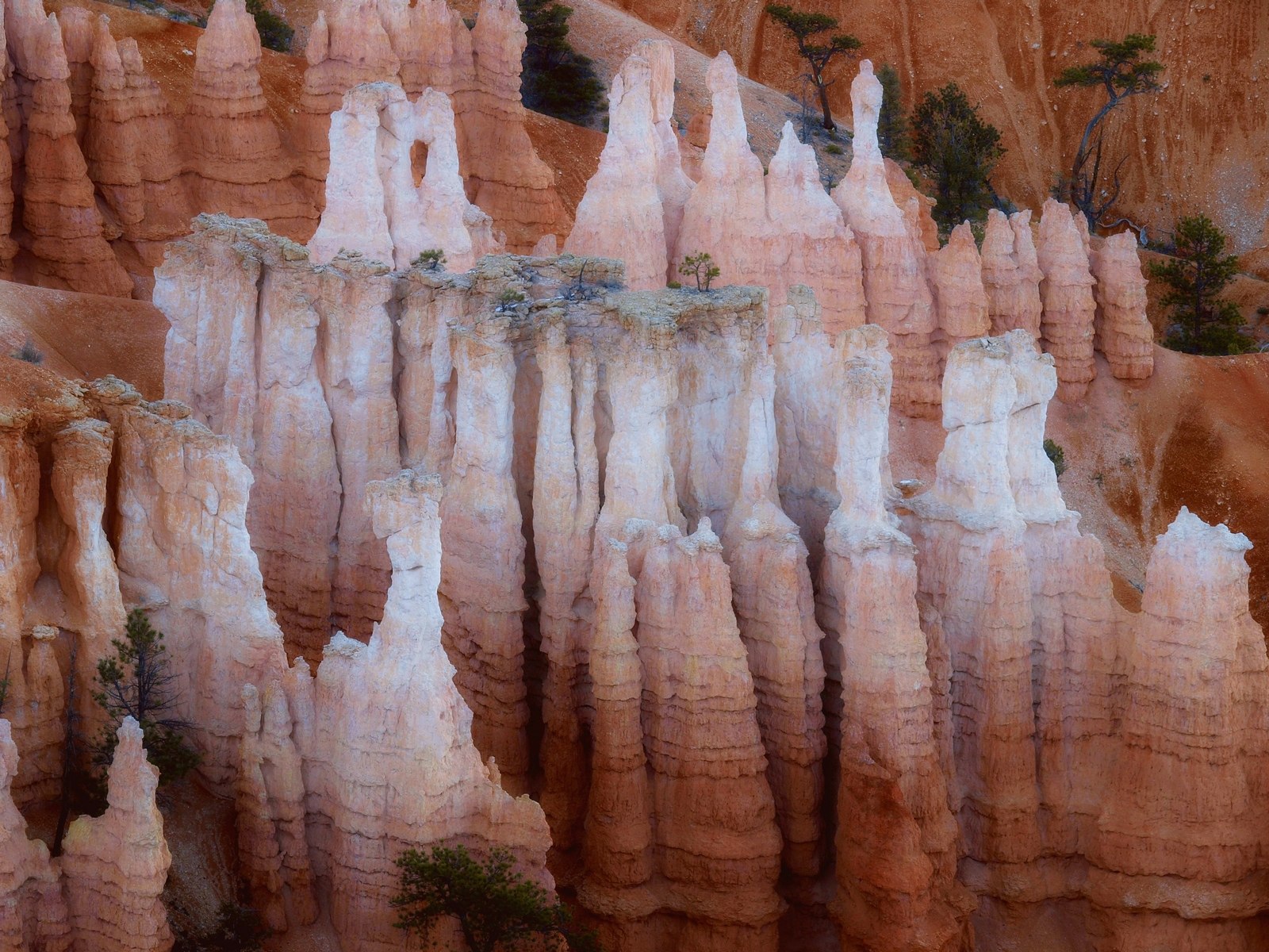 Bryce Canyon Detail