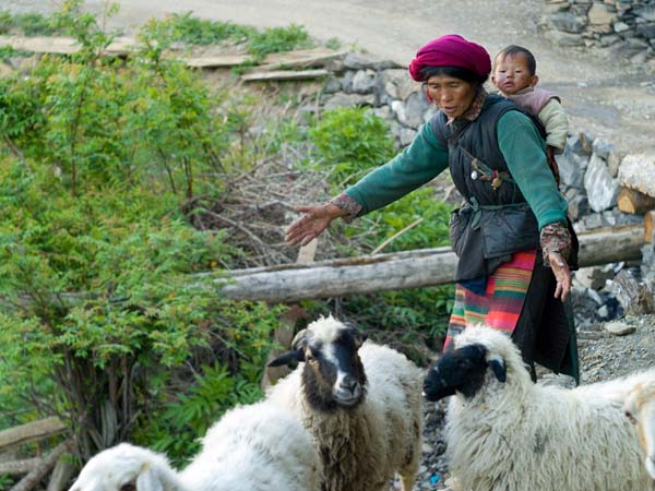 Tibetan Shepherd and Her Child