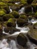 Water, Moss, and Rocks by Lee W
