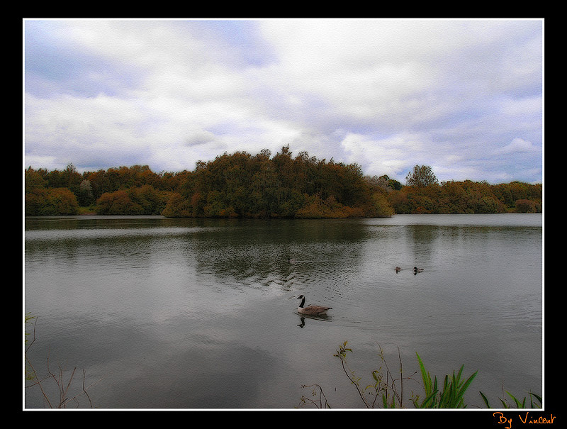 Lake side