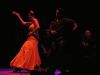 Flamenco 2 by Piero Magnani