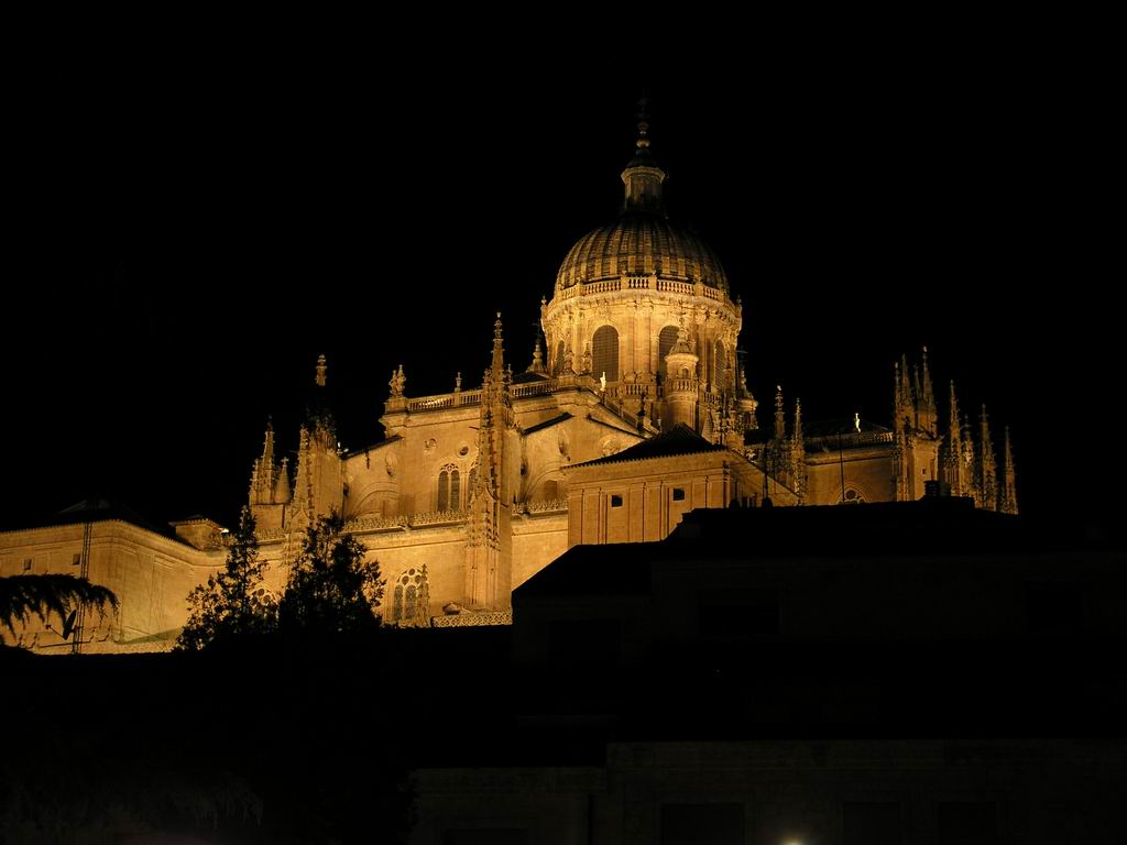 Salamanca - Cathedral