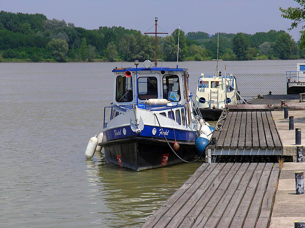 The River Boats