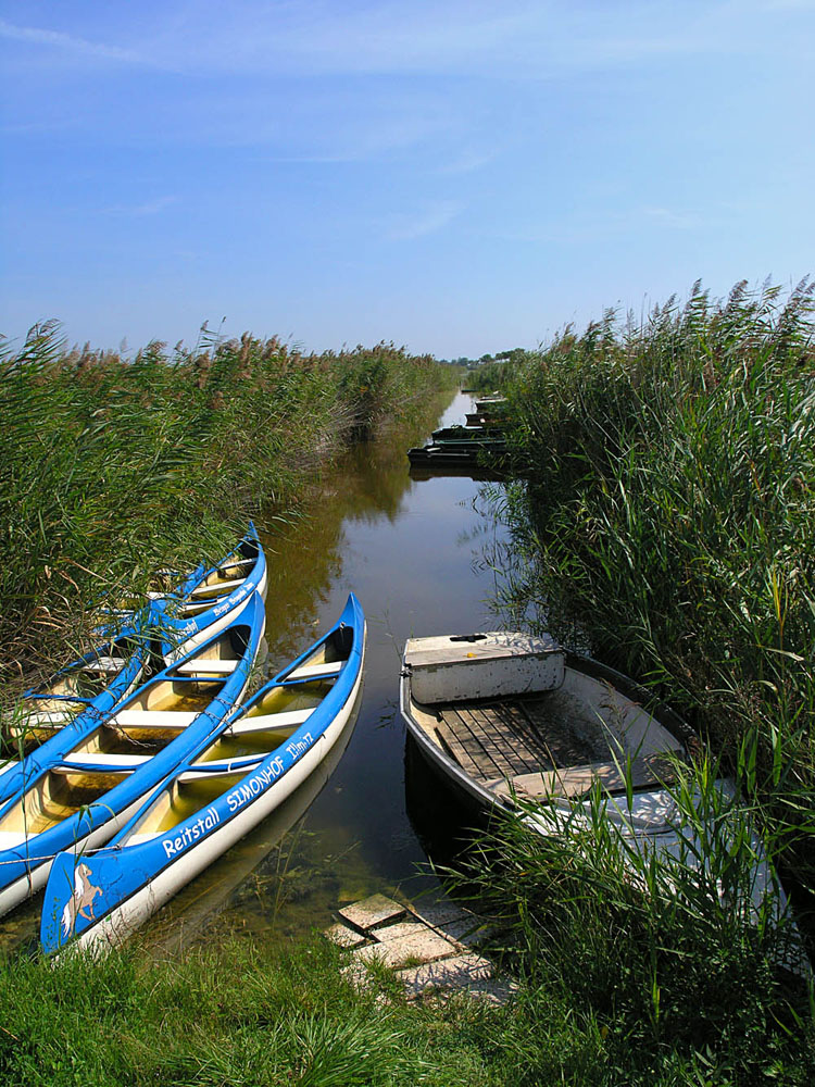 Boats