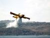 Canadair Water Bomber by fri go749