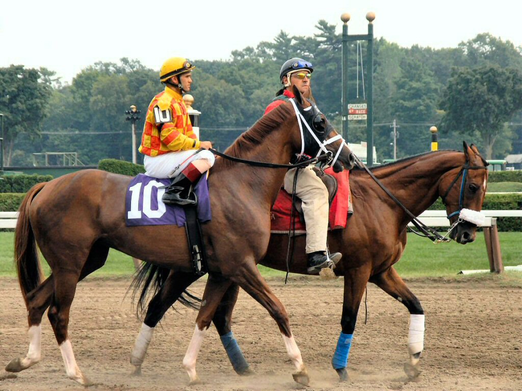 Racehorse