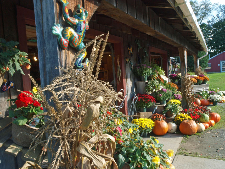 Farm Stand