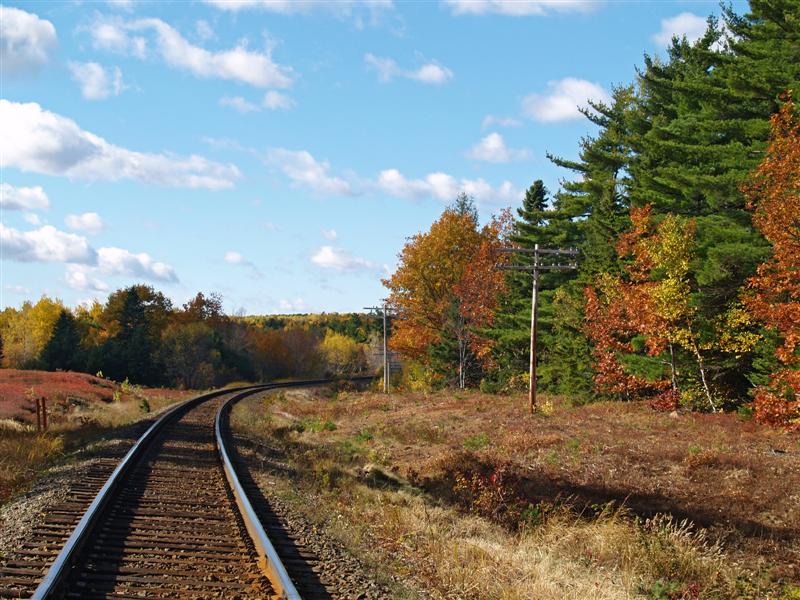 train tracks