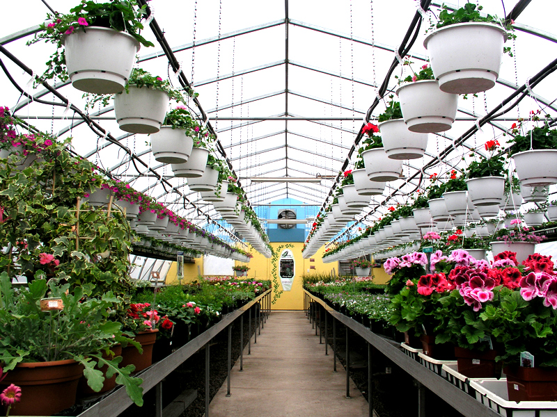 greenhouse