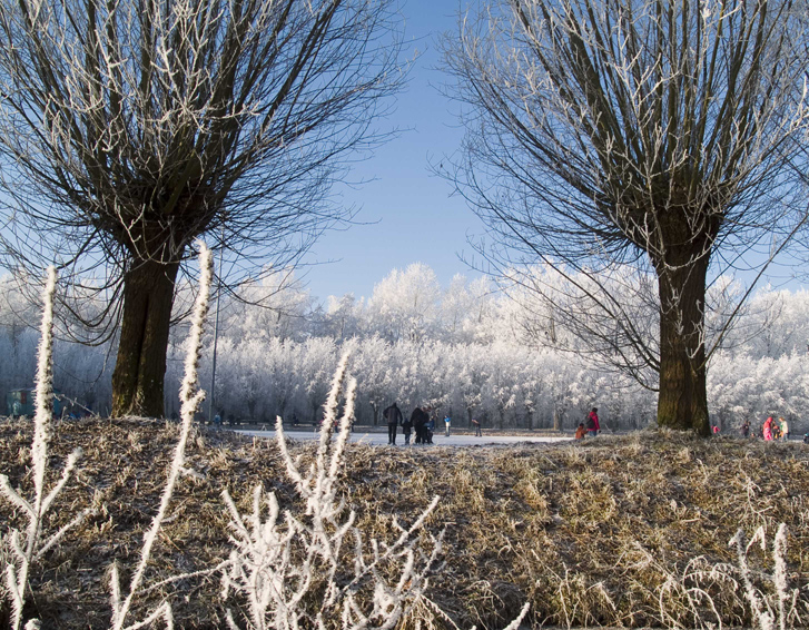 winter in Nieuwegein