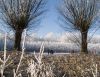 winter in Nieuwegein by Hans Koren