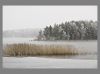 Winter Prelude 3 by Pekka Nihtinen