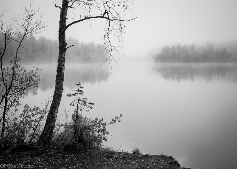 Autumn by a smaal lake 2