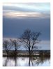 Flooded land by Pekka Nihtinen