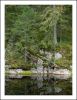 By a forest lake 2 by Pekka Nihtinen