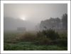 Misty Meadow Morning by Pekka Nihtinen
