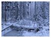 Lumi 2 by Pekka Nihtinen