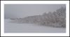 Scenes of January 3 by Pekka Nihtinen