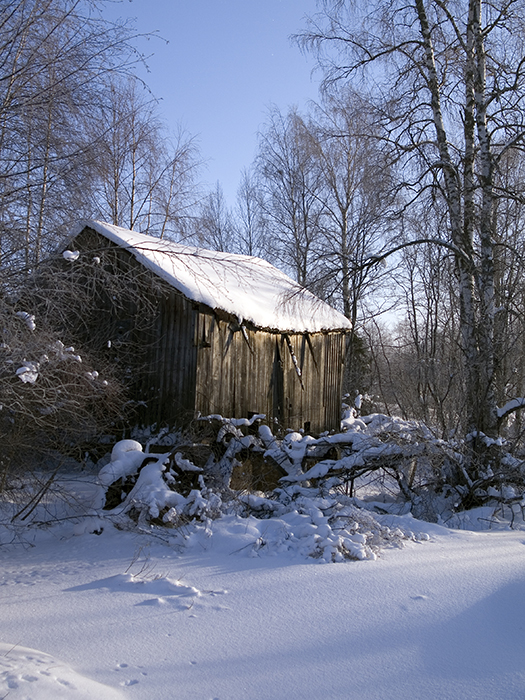 Old sawmill