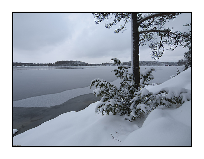 Winter by Lake Saimaa