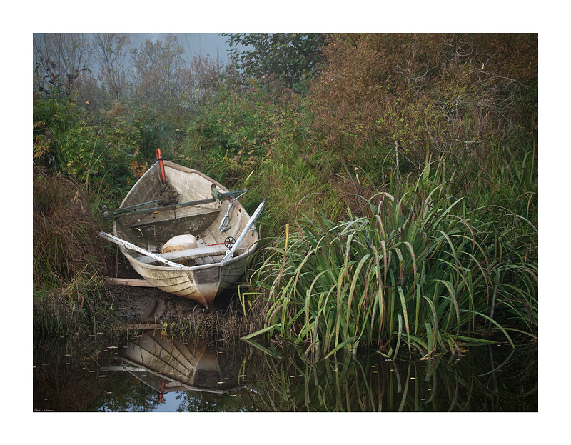 Boat by a river