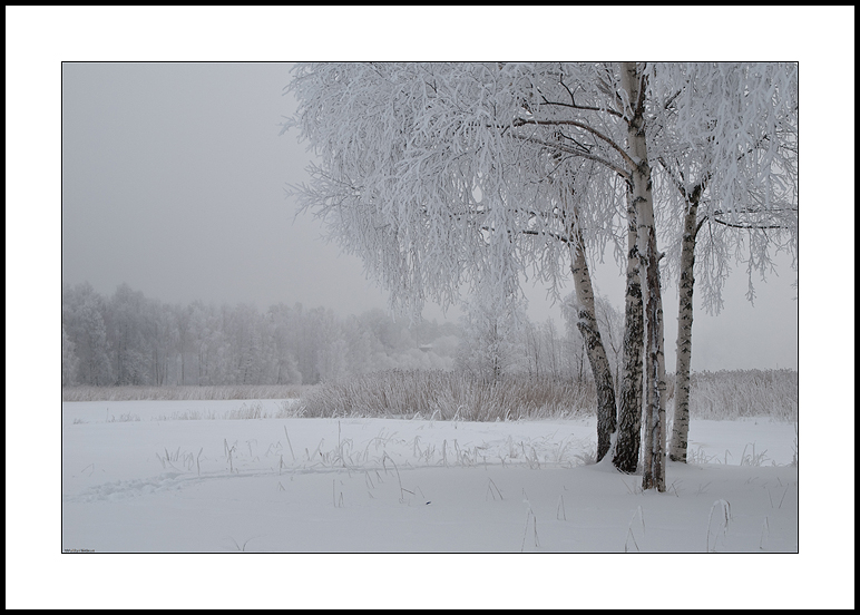 Scenes of January