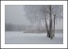 Scenes of January by Pekka Nihtinen
