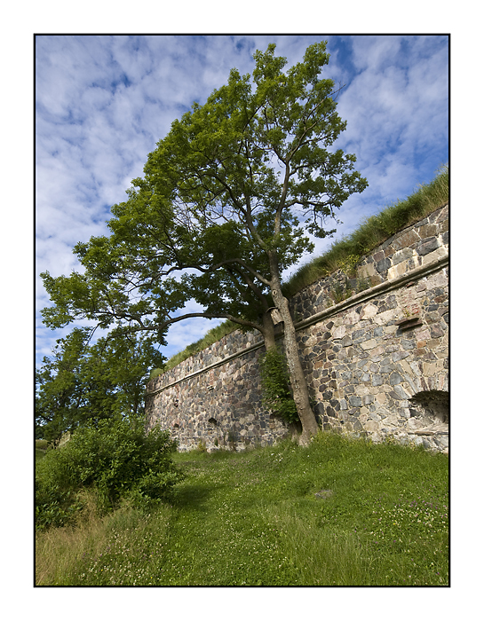 Summer in Suomenlinna 5