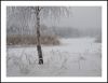 Scenes of January 2 by Pekka Nihtinen