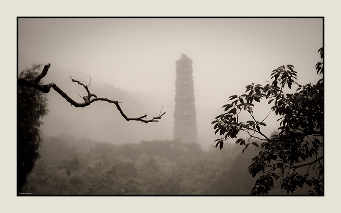 Distant Pagoda