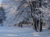 Lumi by Pekka Nihtinen