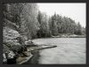 Winter Prelude 7 by Pekka Nihtinen