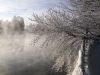 Winter trees 2 by Pekka Nihtinen