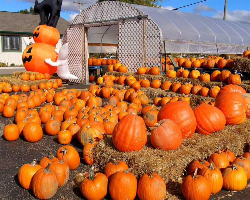 Pumpkins