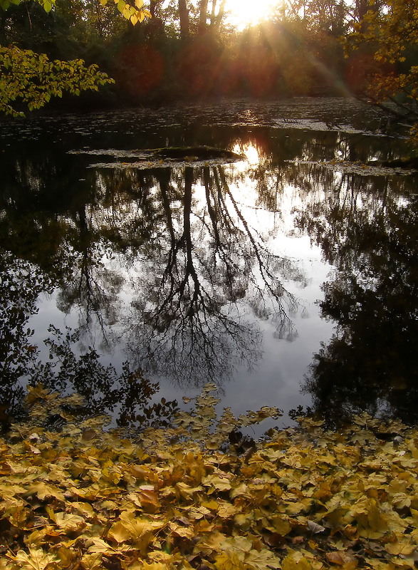 Autumn Reflections