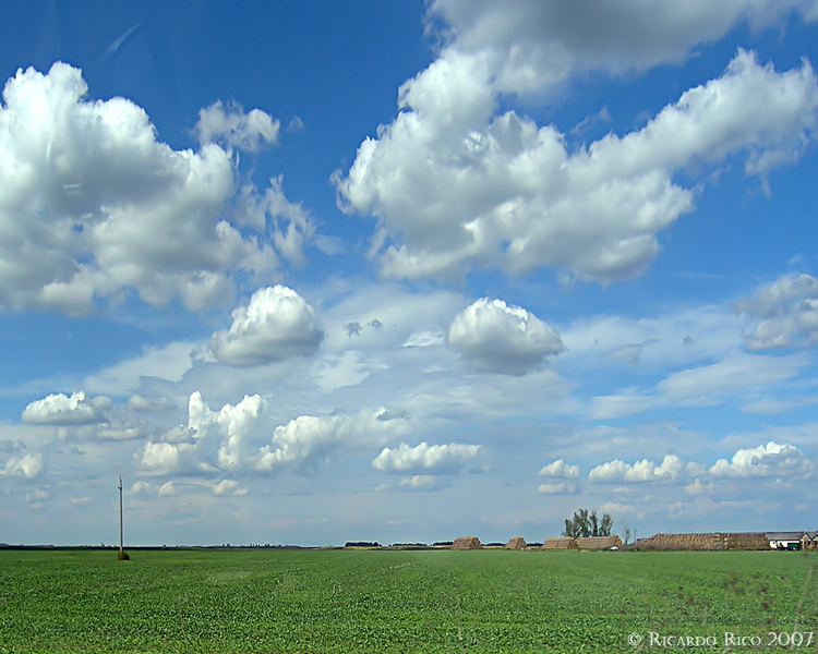 Hngarian landscape 2