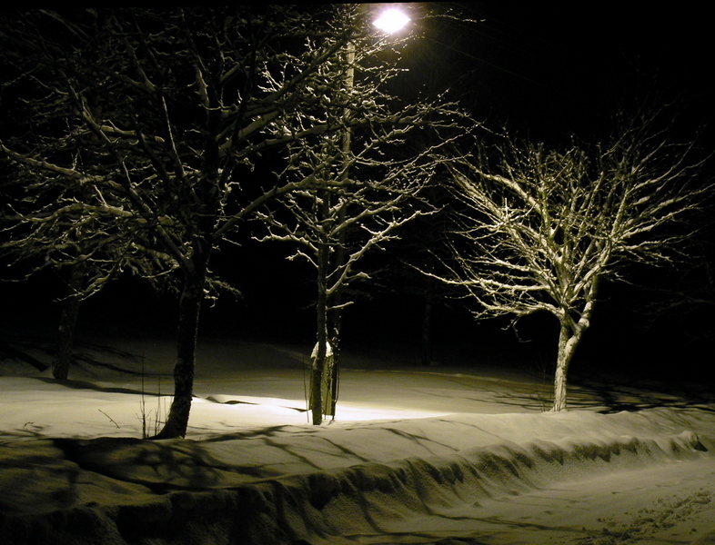 Winter night 1