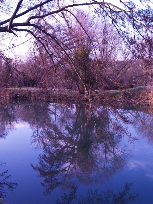 La Marne