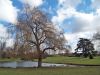 Leeds Castle Park