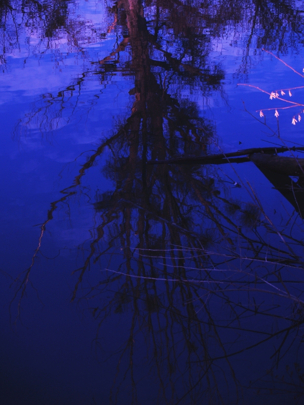 deep blue reflexion