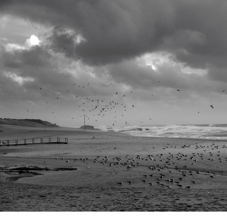 Storm in the sea