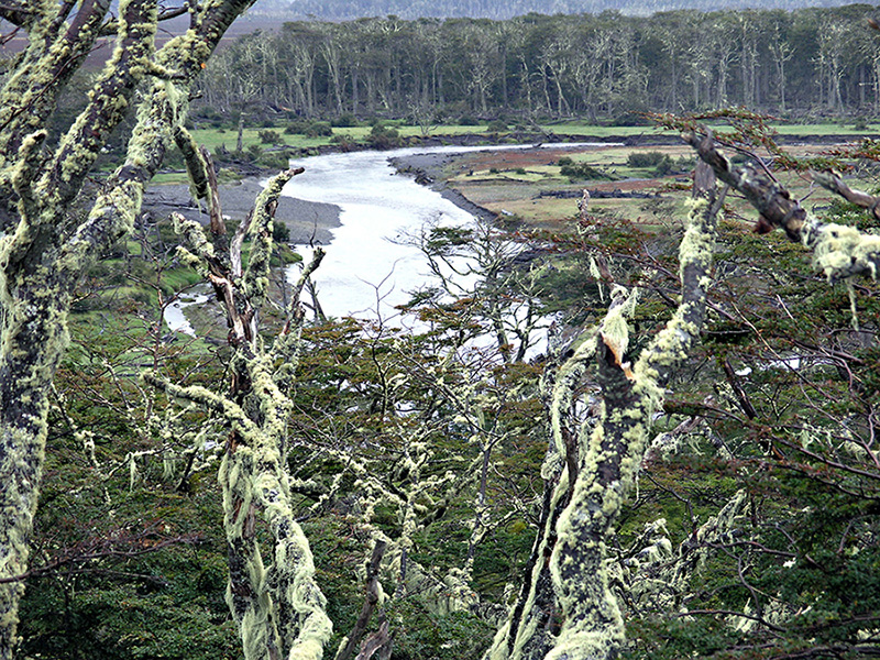 Yrigoyen River