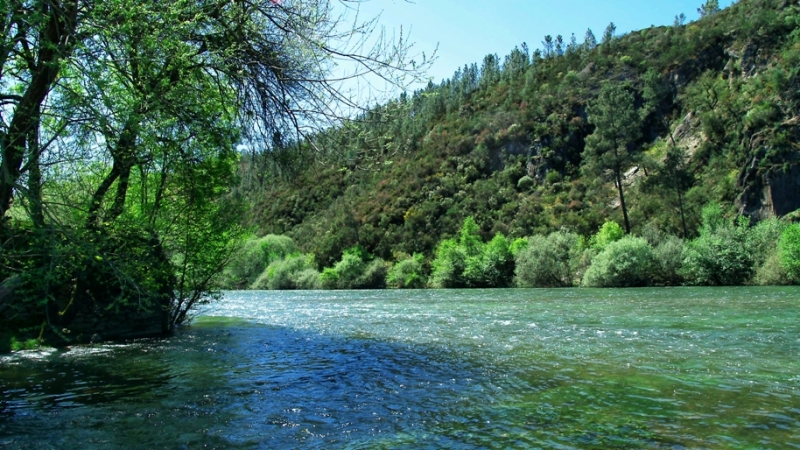 zezere river
