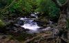 Torc river, Ireland (2)